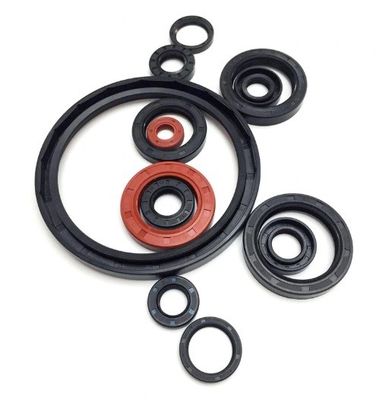 Bearing Rubber Seal Nitrile Rubber Cover Double Lip Spring Bearing Shaft TC Oil Seals