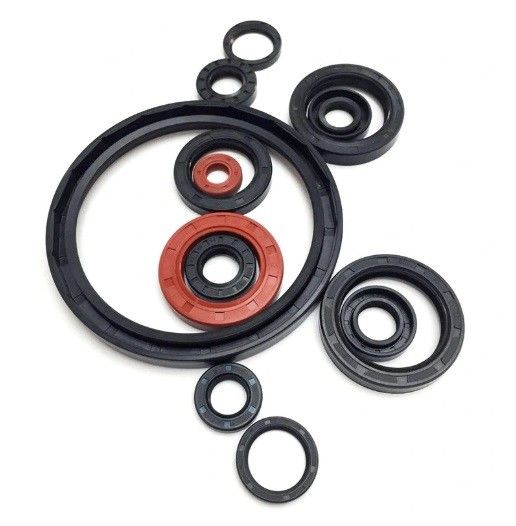 Bearing Rubber Seal Nitrile Rubber Cover Double Lip Spring Bearing Shaft TC Oil Seals